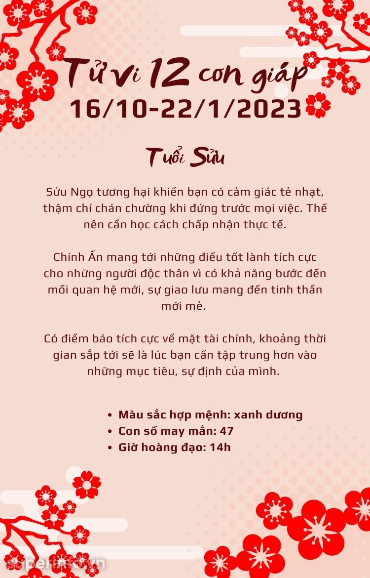 anh chi tiết