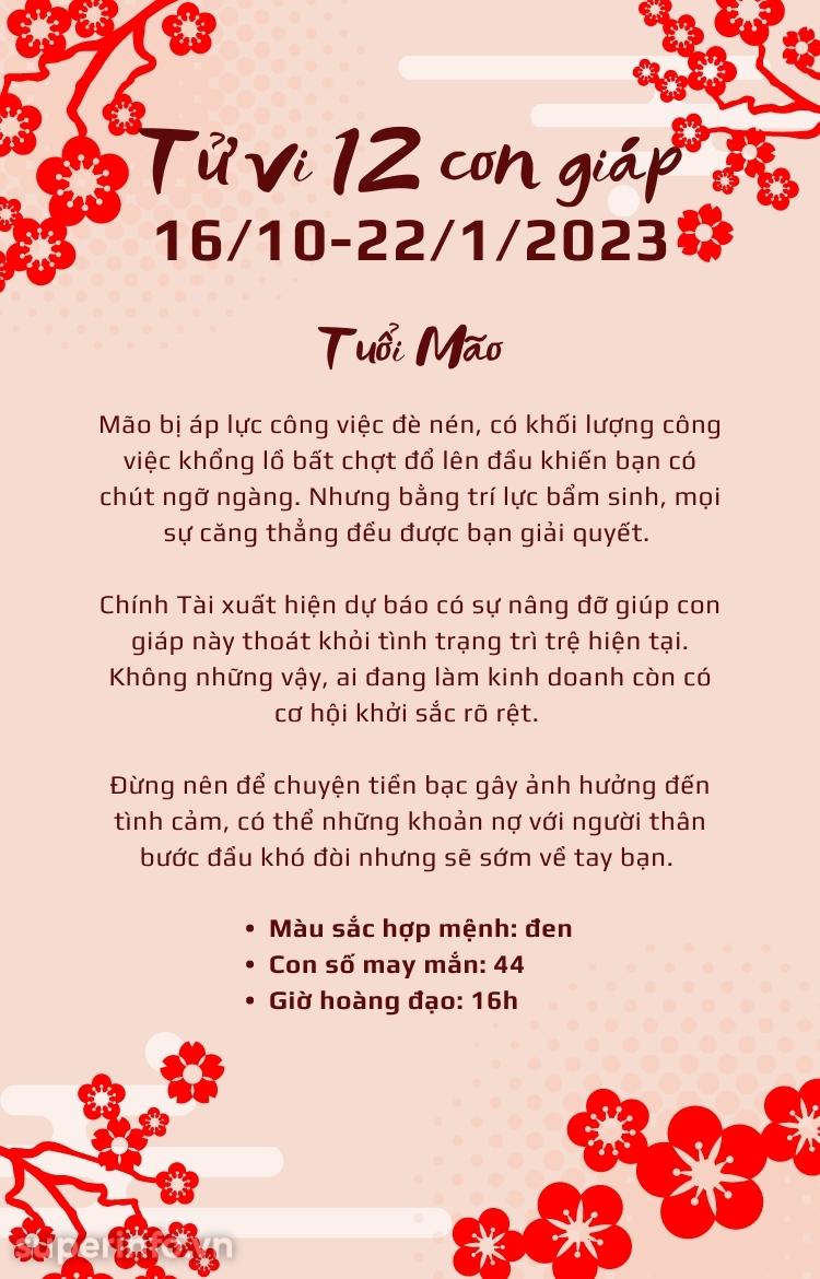 anh chi tiết