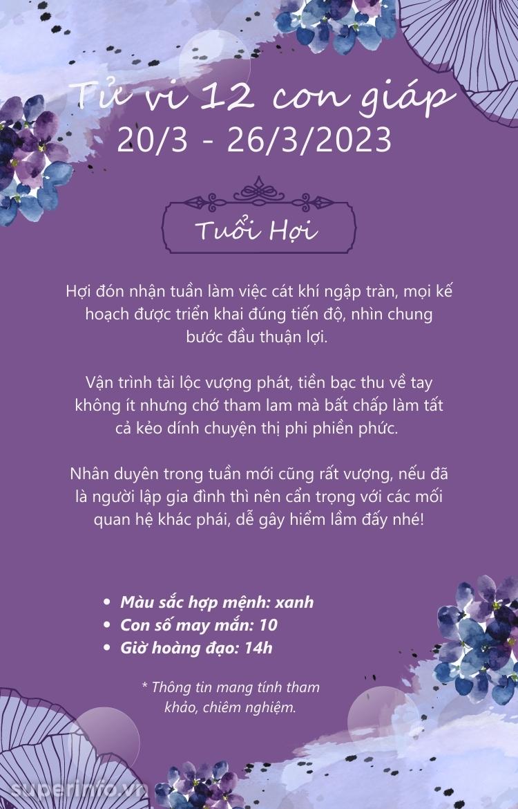 anh chi tiết